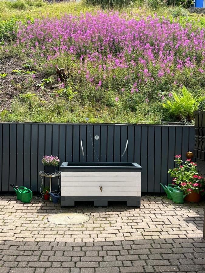 Modernes Top Apartment Mitten Im Bayerischen Wald + Wlan Kostenfrei Schöfweg Buitenkant foto