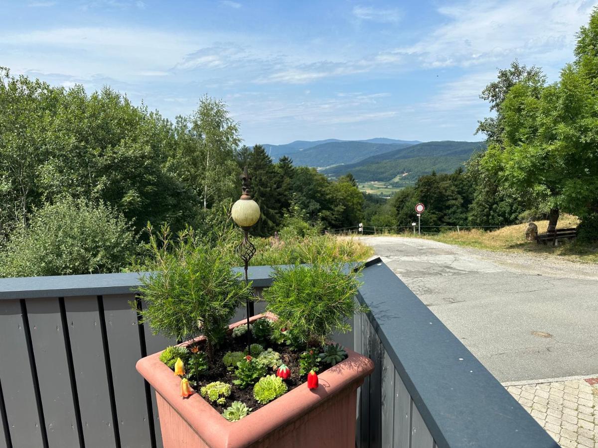 Modernes Top Apartment Mitten Im Bayerischen Wald + Wlan Kostenfrei Schöfweg Buitenkant foto