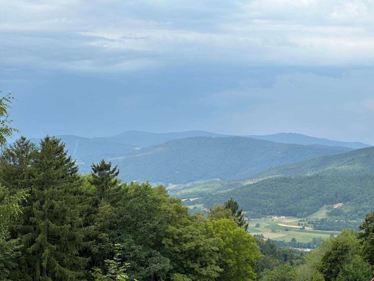 Modernes Top Apartment Mitten Im Bayerischen Wald + Wlan Kostenfrei Schöfweg Buitenkant foto